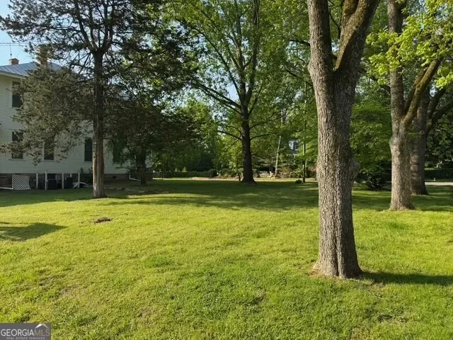 Lexington, Georgia, United States. - Photo 46