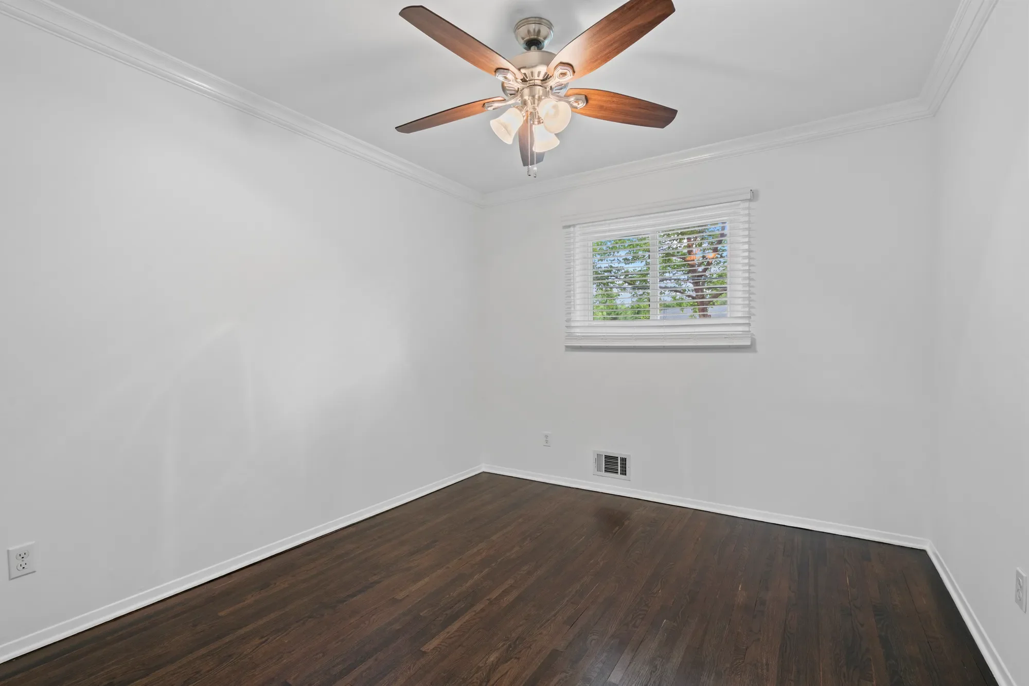 Gallery photo 12