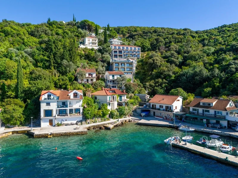 Rose, Herceg Novi, Rose, Herceg Novi Municipality, Montenegro. - Photo 15