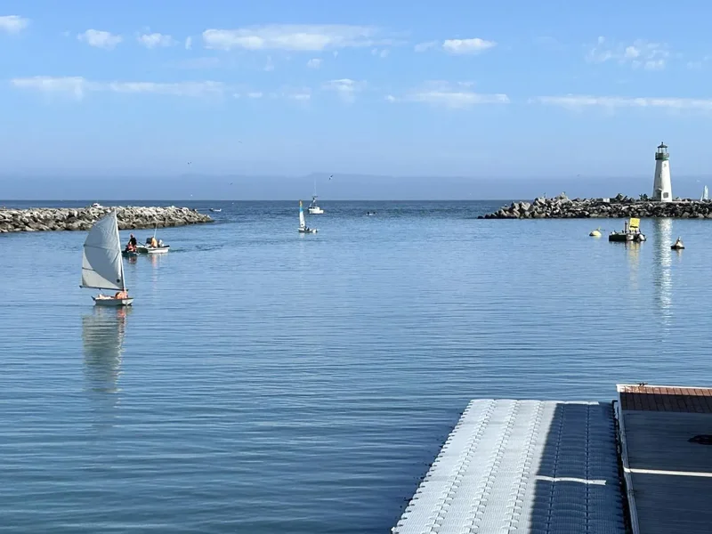 207 2nd Avenue, Santa Cruz, California, United States. - Photo 38