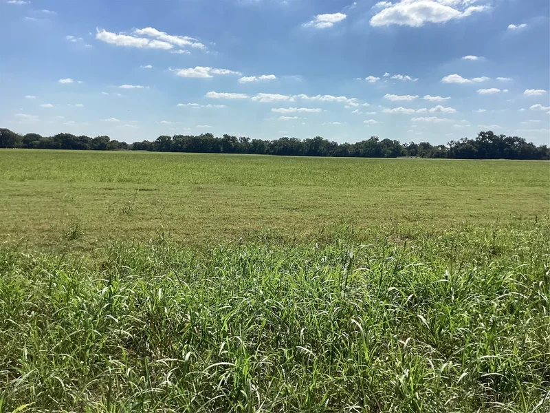 Tbd SW CR 3160, Dawson, TX 76639, Hubbard, Texas, United States. - Photo 6