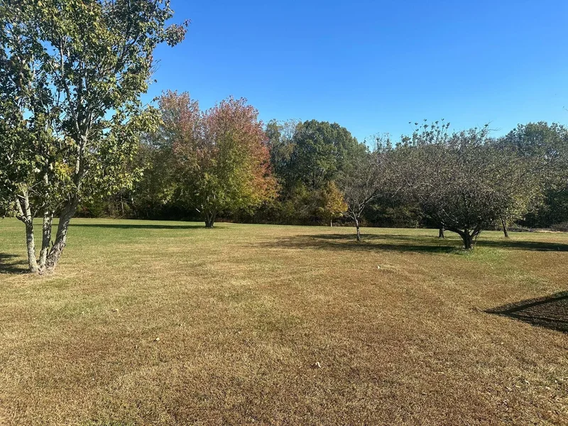 285 Remington Road, Clever, MO 65631, Clever, Missouri, United States. - Photo 46