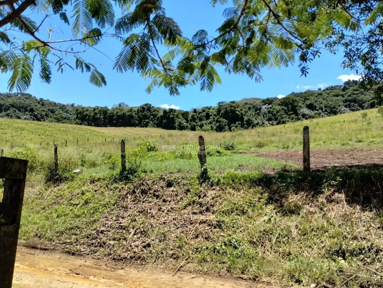 Arapeí, State of São Paulo, Brazil. - Photo 22