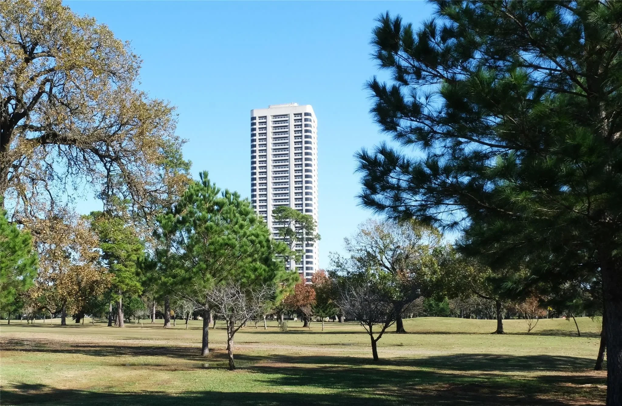 1701 Hermann Drive 34L, Houston, Texas, United States. - Photo 32