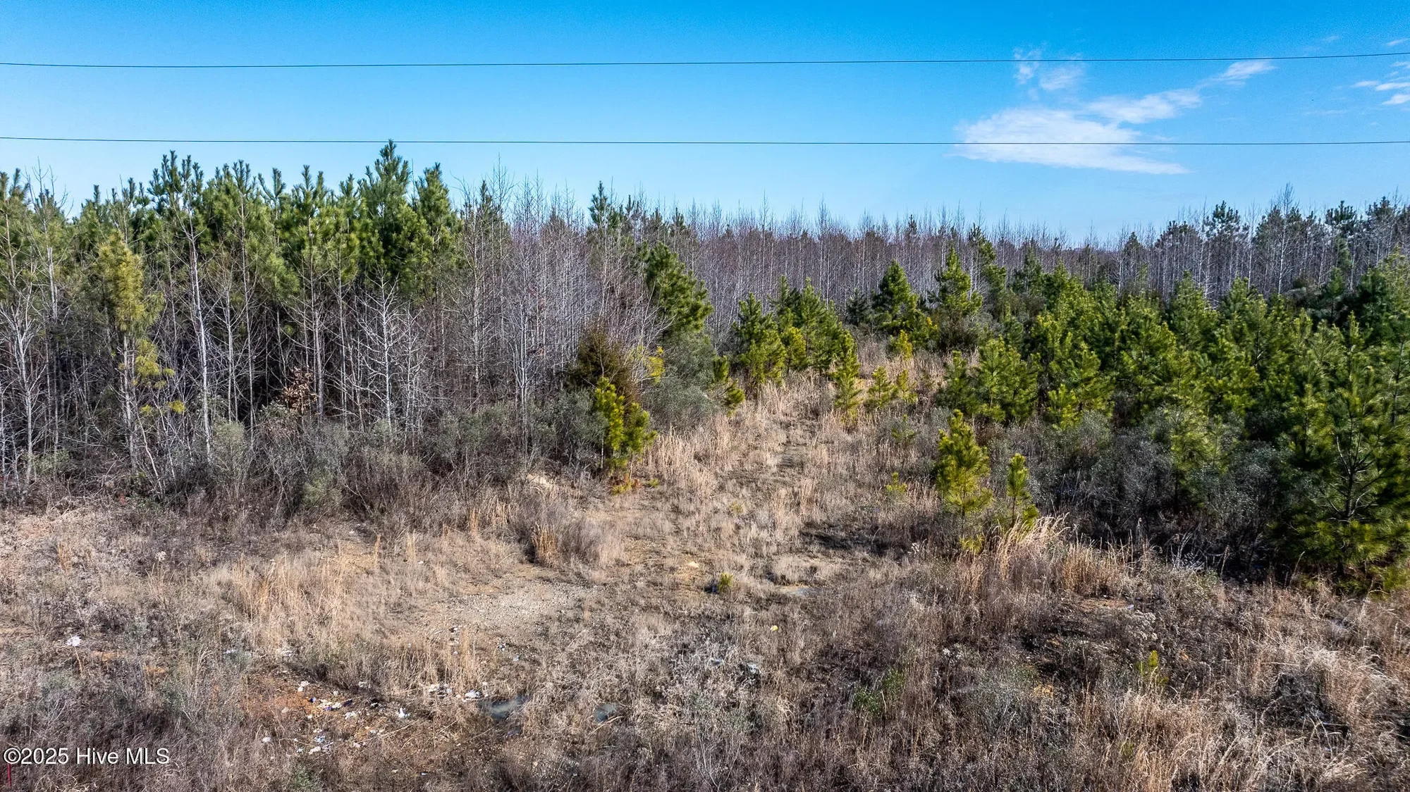 1100 Ben Smith Road, Siler City, North Carolina, United States. - Photo 37