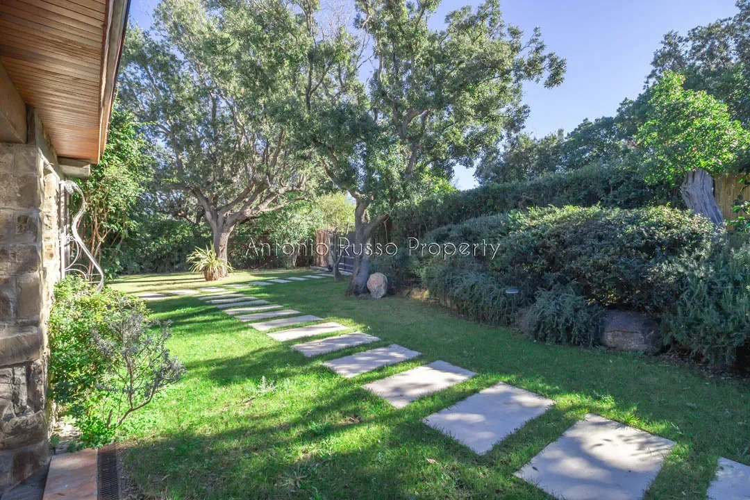 Gallery photo 12