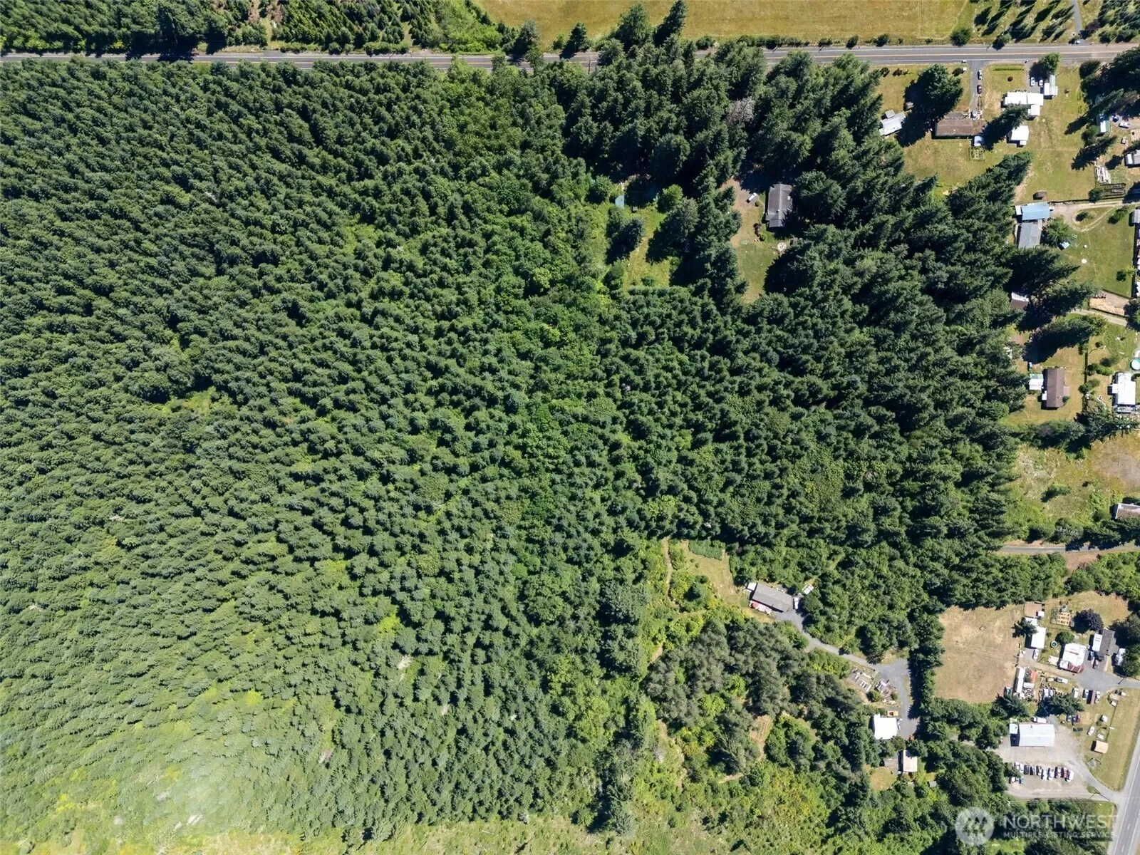 0 Kiser, Ethel, WA 98542, Chehalis, Washington, United States. - Photo 3