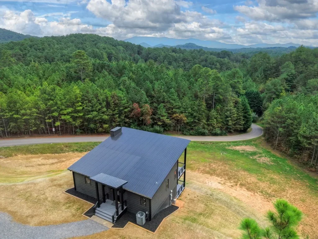 123 Ridgeline Drive, Turtletown, Tennessee, United States. - Photo 34