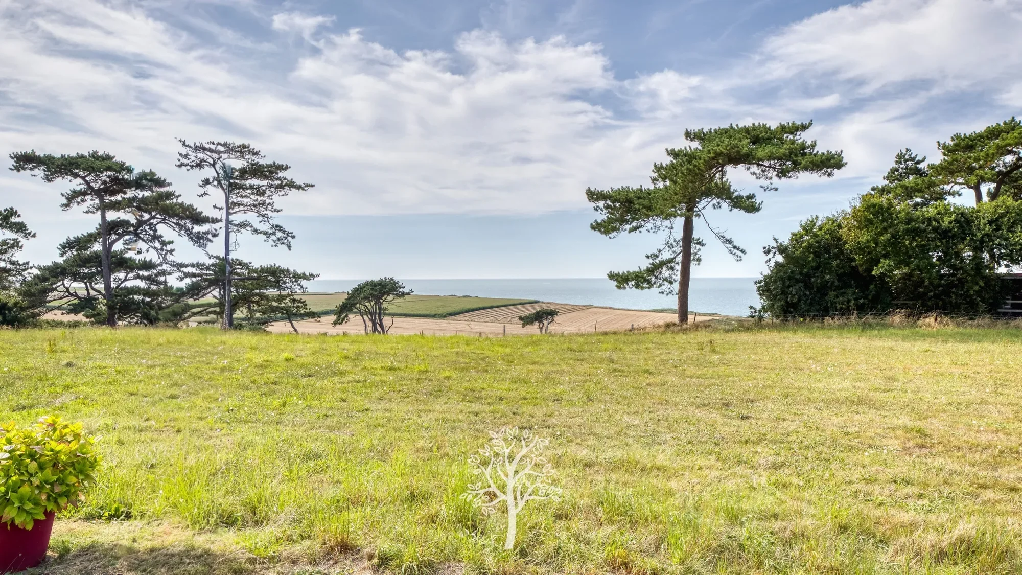 Saint-Denis-d'Aclon, Normandy, France. - Photo 8