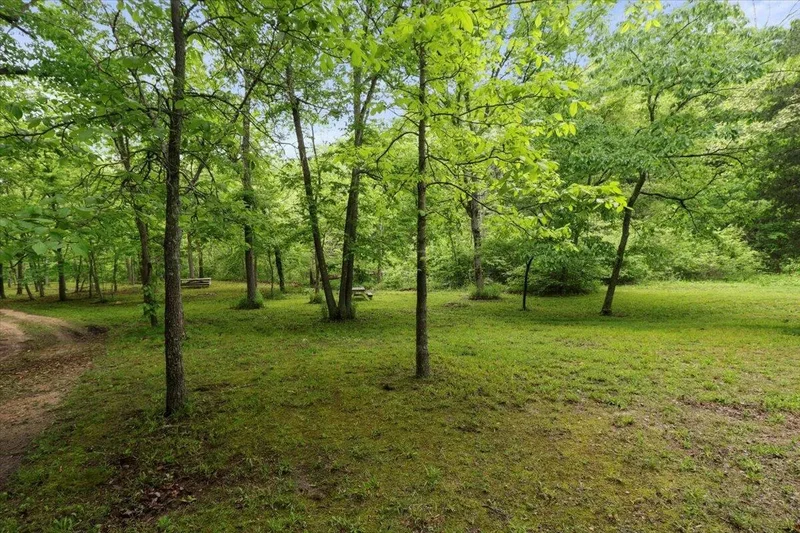 7064 County Road 14-223, Ava, MO 65608, Ava, Missouri, United States. - Photo 48
