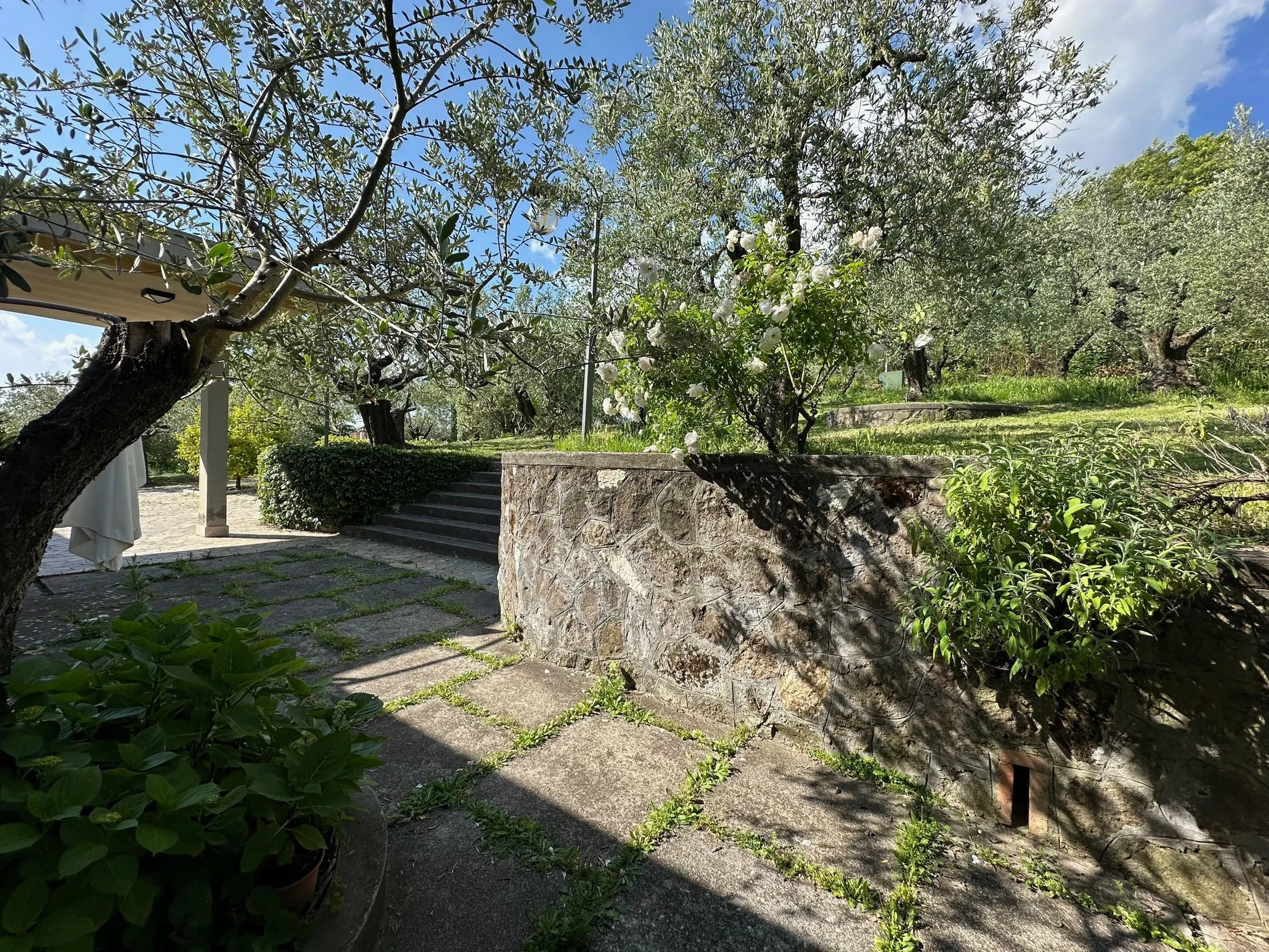 Exterior photo 1