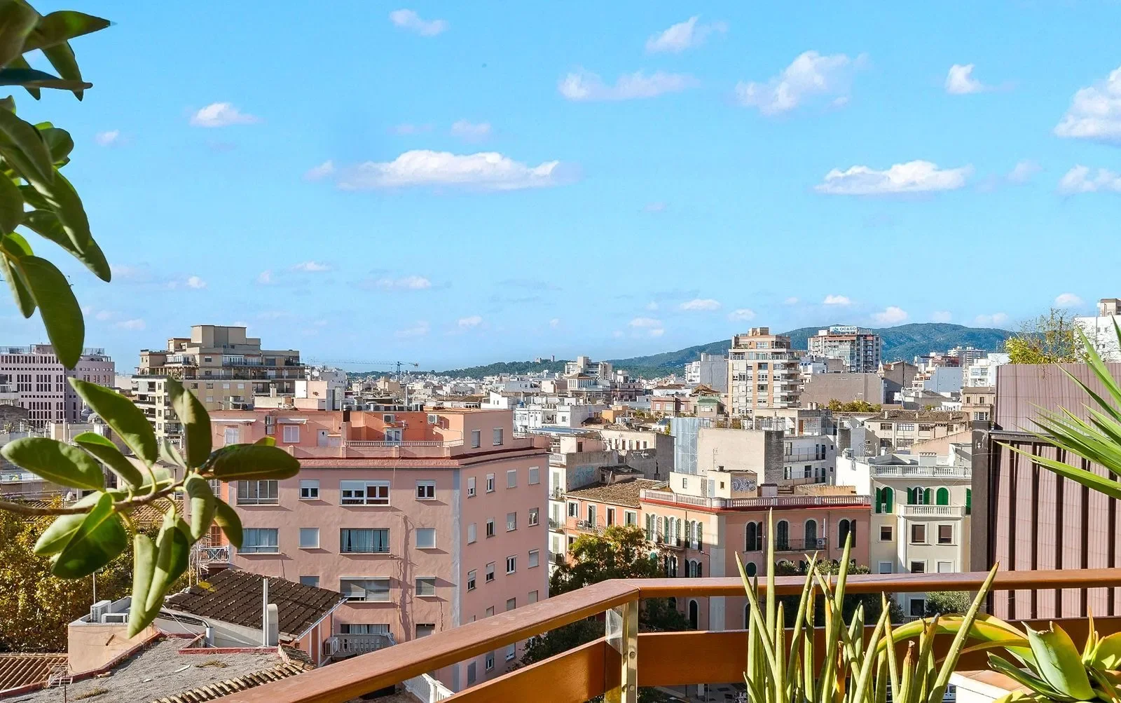 ARXIDUC, Palma De Mallorca, Baleares, Palma De Mallorca, Palma, Balearic Islands, Spain. - Photo 15