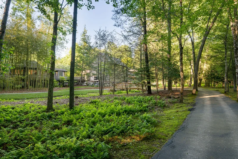 268 Holly Arbor Lane, Asheville, NC 28803, Asheville, North Carolina, United States. - Photo 41