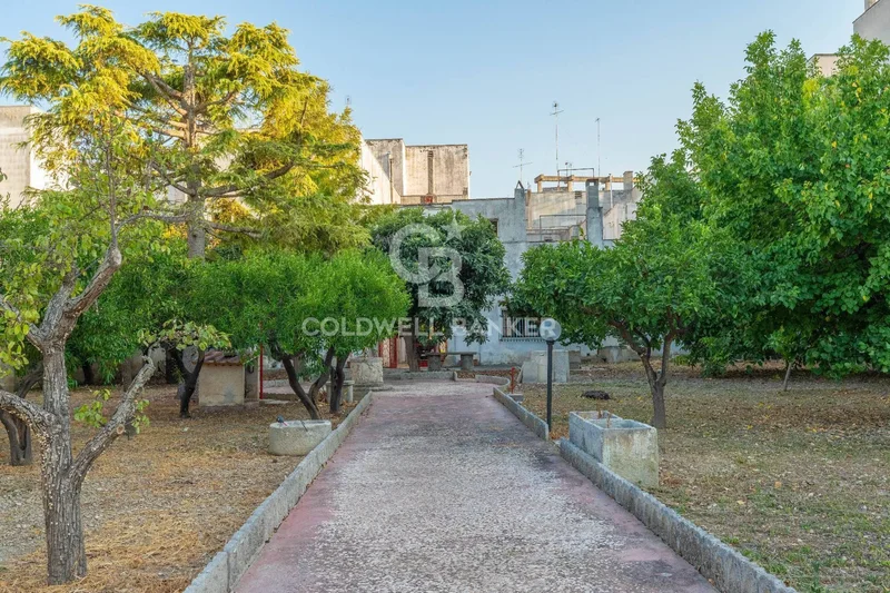 Aradeo Viale della Repubblica, Aradeo, Apulia, Italy. - Photo 8