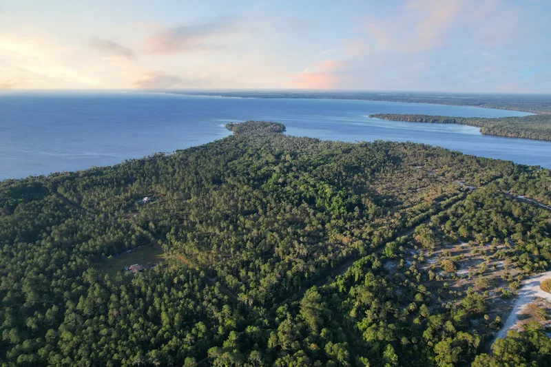356 Drayton Island Rd , Georgetown, FL 32139, Georgetown, Florida, United States. - Photo 4