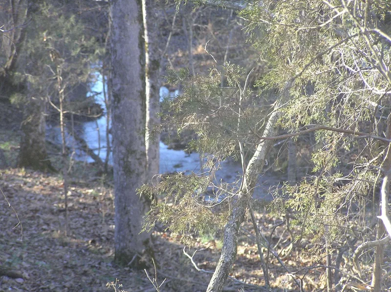 4114 Lower East Valley Rd, Dunlap, TN 37327, Dunlap, Tennessee, United States. - Photo 38