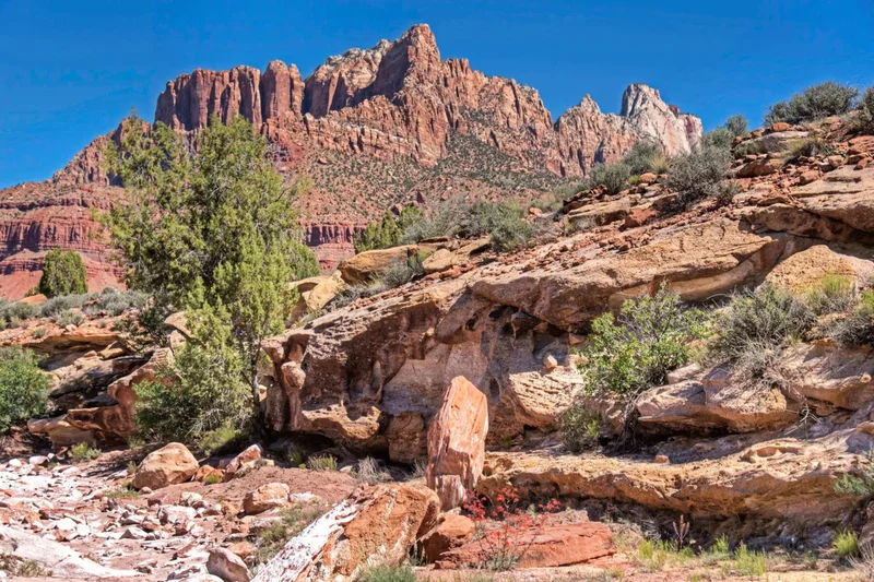 2538 Anasazi Way Lot 58, Springdale, UT 84767, Hurricane, Utah, United States. - Photo 7