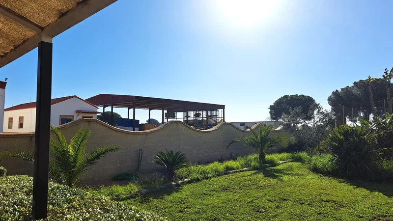 Sevilla, Mairena del Alcor, SEVILLA, Mairena del Alcor, Mairena del Alcor, Andalusia, Spain. - Photo 67
