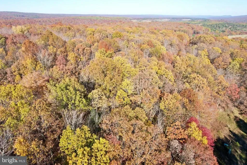 2500 BEECH CREEK MOUNTAIN RD ROAD, BEECH CREEK, PA 16822, Beech Creek, Pennsylvania, United States. - Photo 8