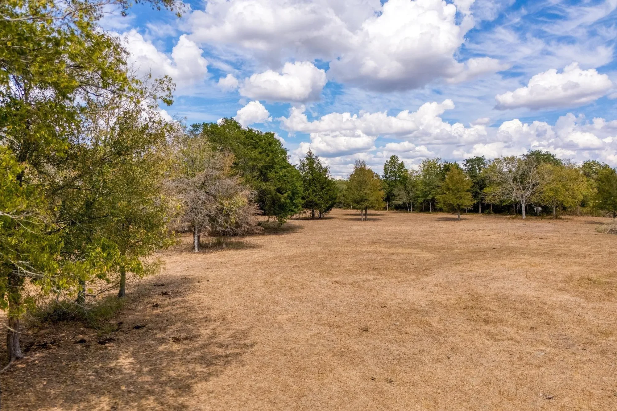 1901 E State Highway 21 B, Paige, Texas, United States. - Photo 36