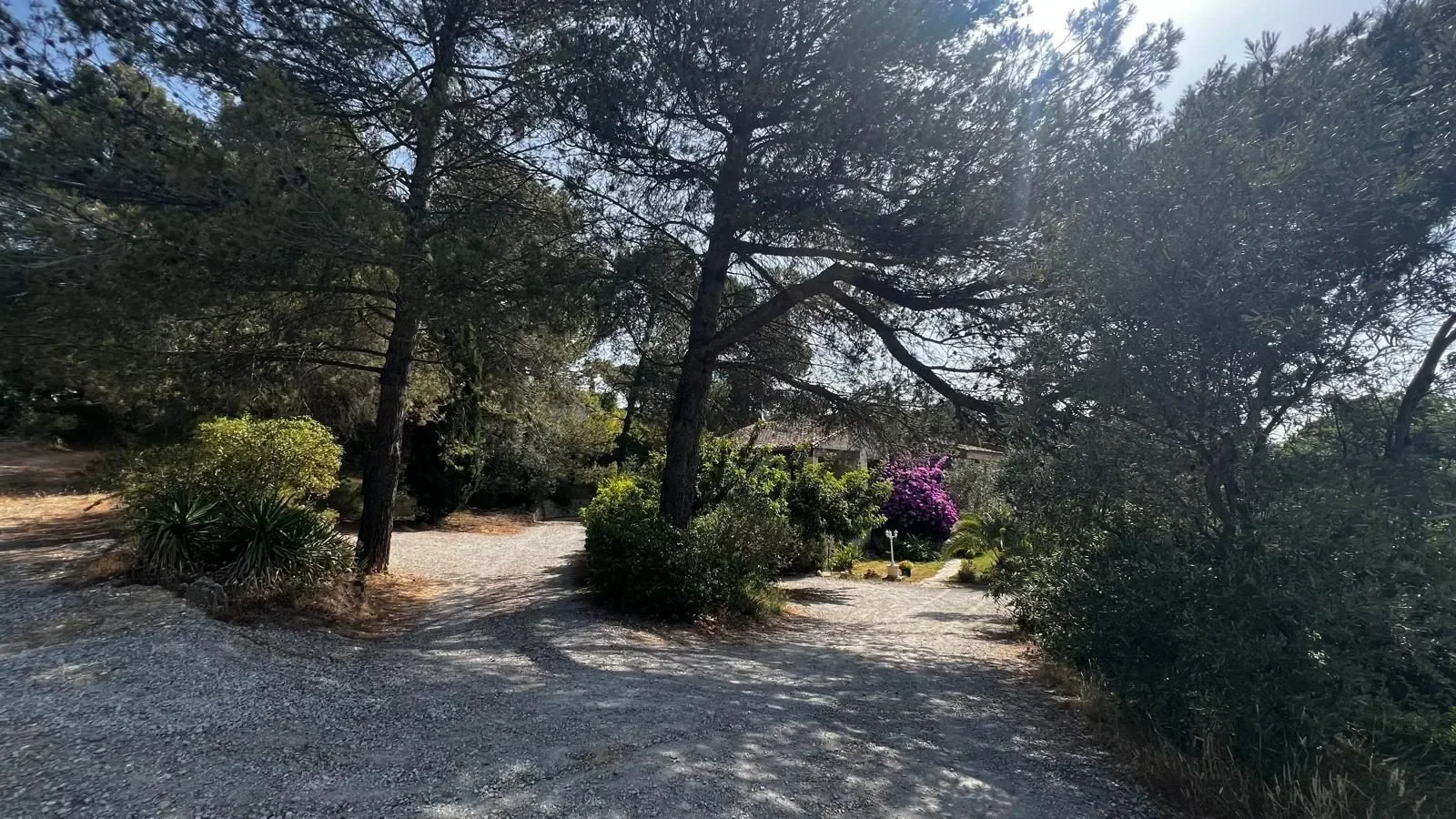 Exterior photo 8