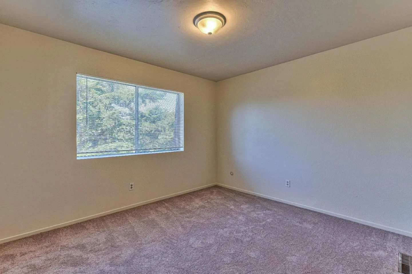 Gallery photo 10