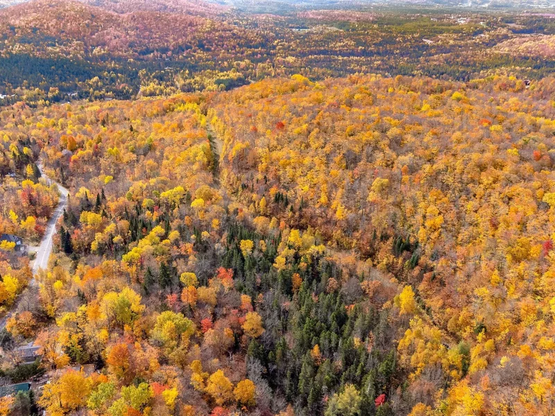 Ch. de la Truite, Lac-Supérieur, Quebec, Canada. - Photo 8