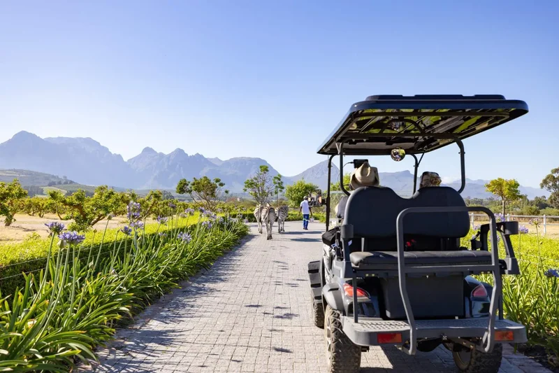 Paarl, Western Cape, South Africa. - Photo 53