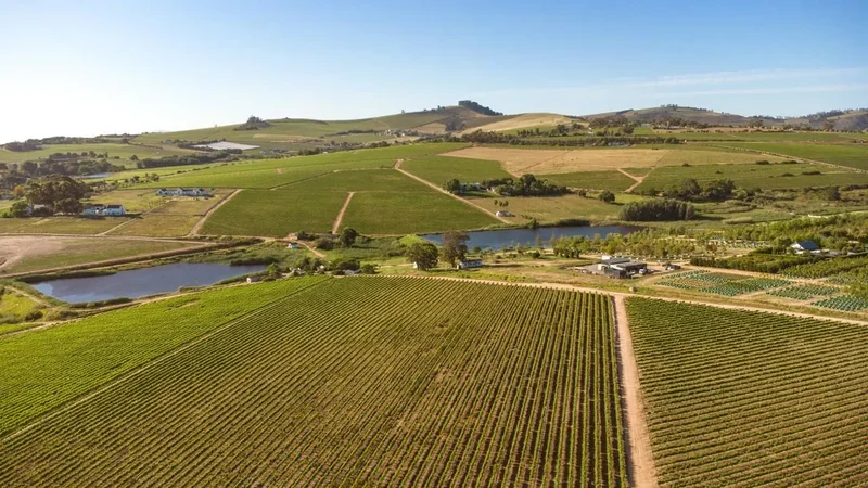 Stellenbosch, Western Cape, South Africa. - Photo 16