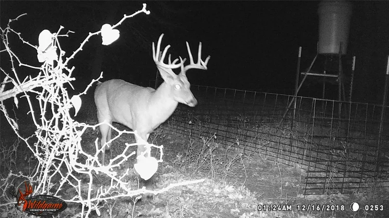 300 Chandler Road, Lipan, TX 76462, Lipan, Texas, United States. - Photo 9