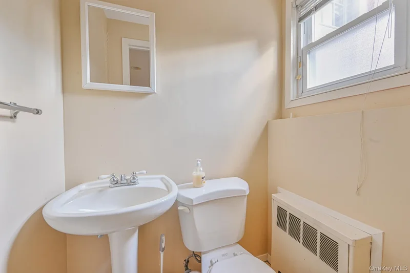 216 Birch Drive, New Hyde Park, NY 11040, New Hyde Park, New York, United States. - Photo 11