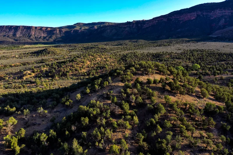 Sinbad Ranch , Gateway, CO 81522, Gateway, Colorado, United States. - Photo 49