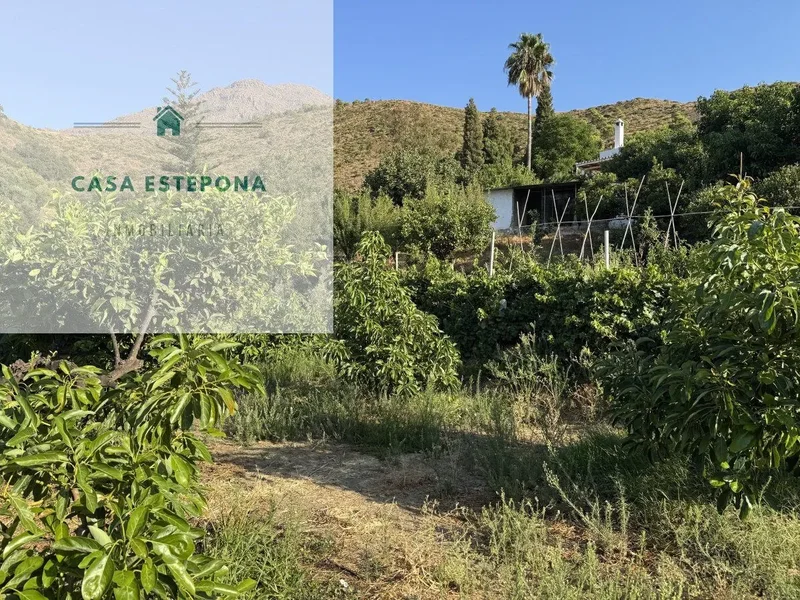 Camino Polvitos,  Estepona,  Altos de Estepona, Estepona, Andalusia, Spain. - Photo 34