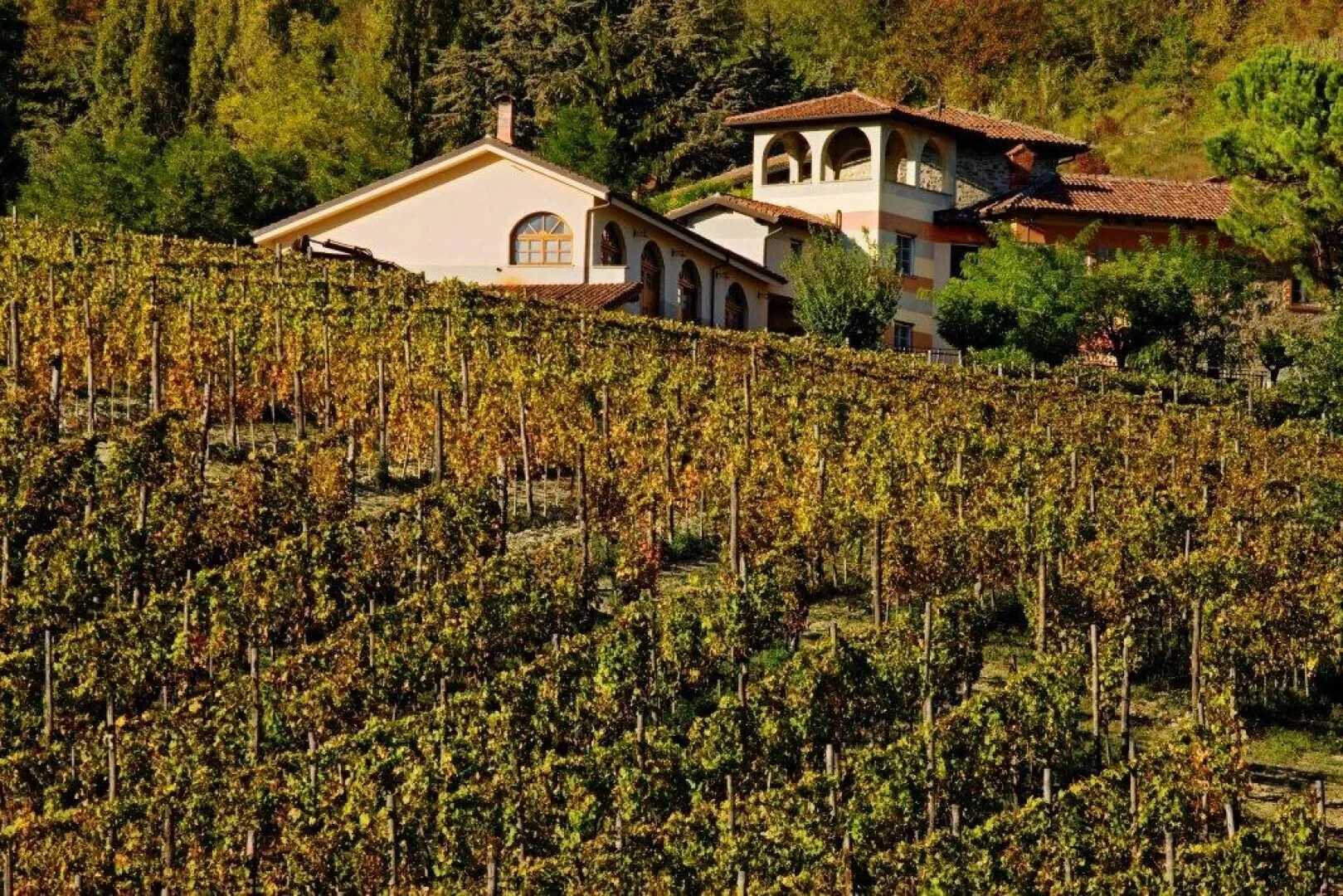 Cremolino, Piedmont, Italy. - Photo 4