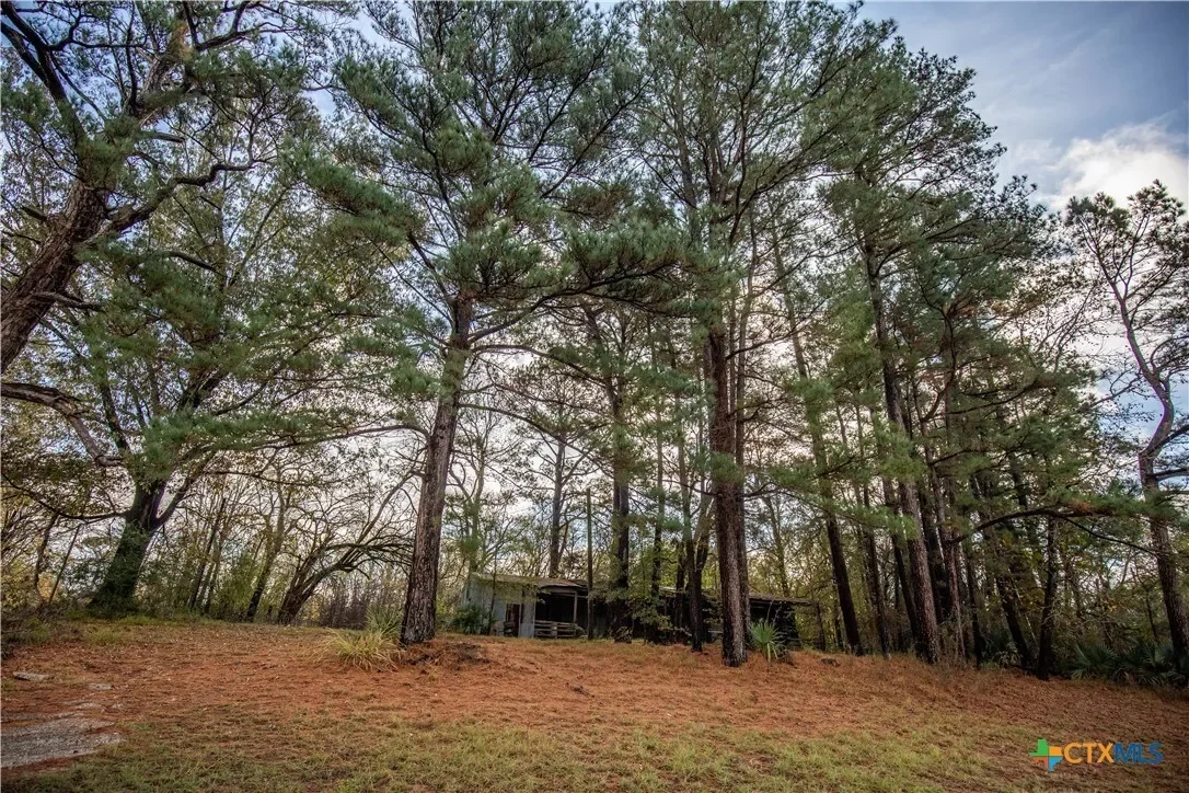 474 Pr 4311, White Oak, TX 75693, Longview, Texas, United States. - Photo 18