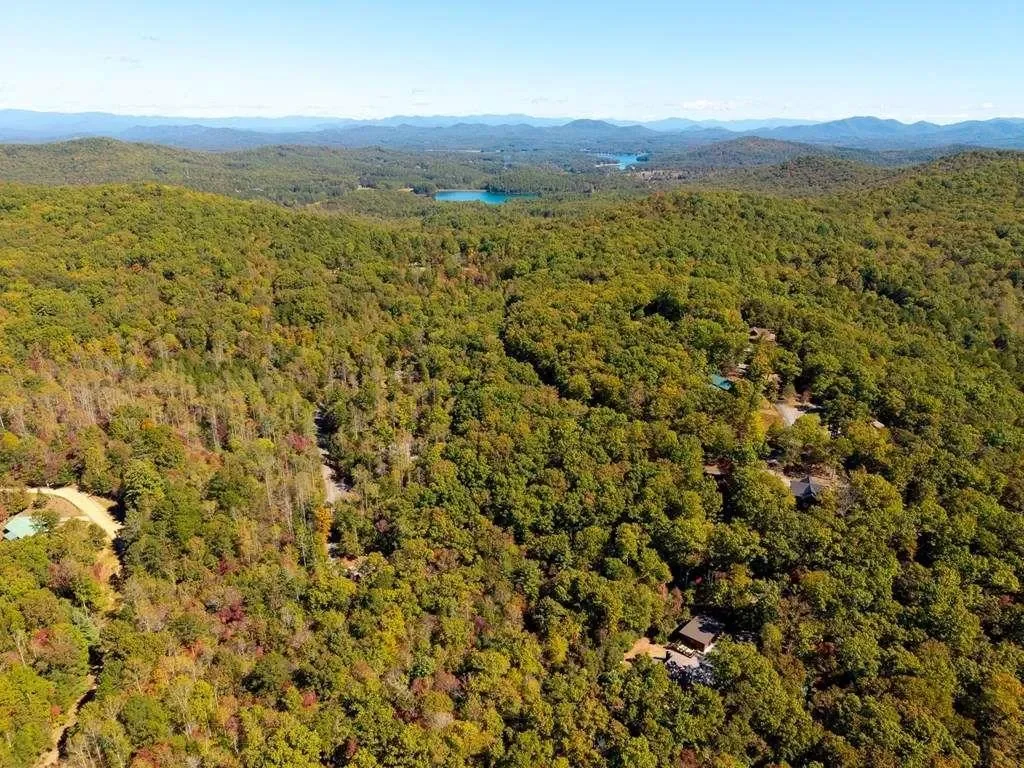 217 Goldmine Road, Morganton, United States. - Photo 39