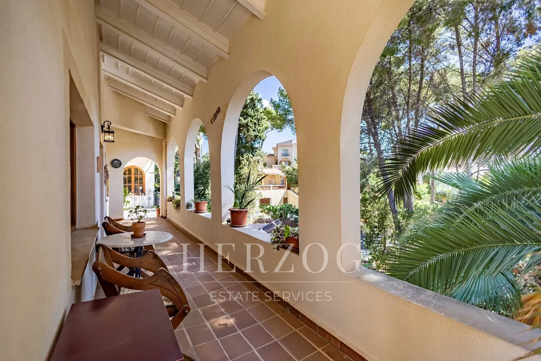 Carrer llimonera, Cala Fornells, Calvia, Balearic Islands. - Photo 24