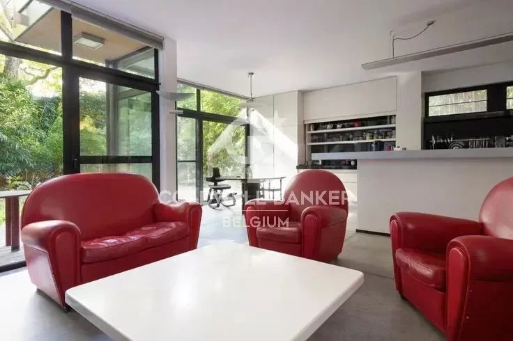 Gallery photo 4