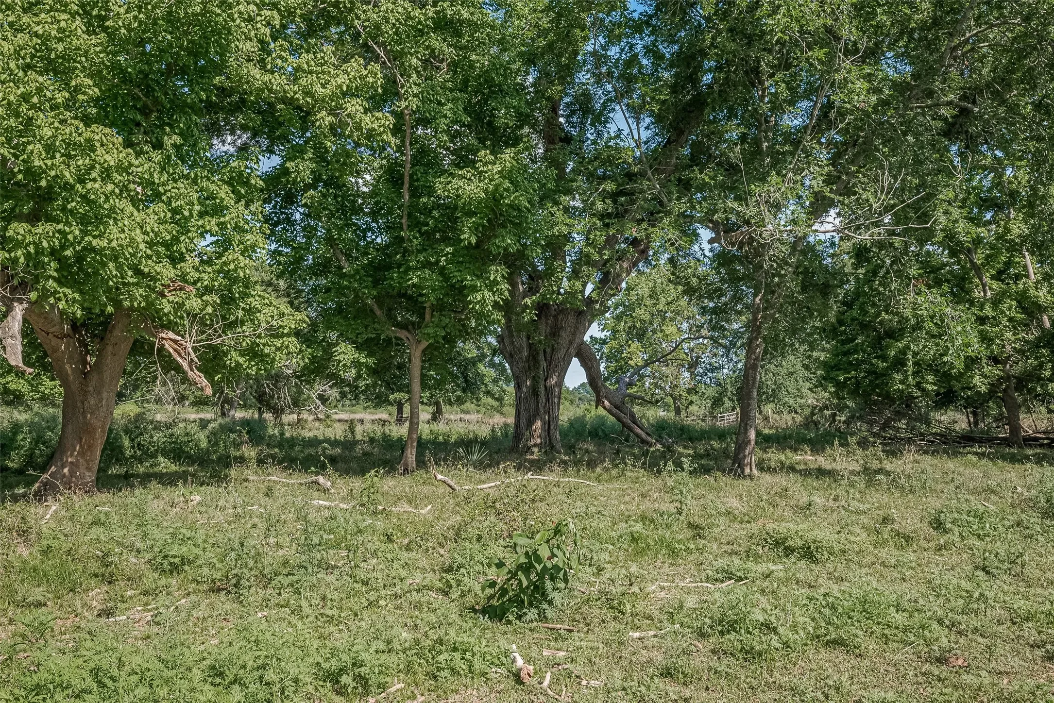 2511 Hartwell Road, Brookshire, TX 77423, Brookshire, Texas, United States. - Photo 16