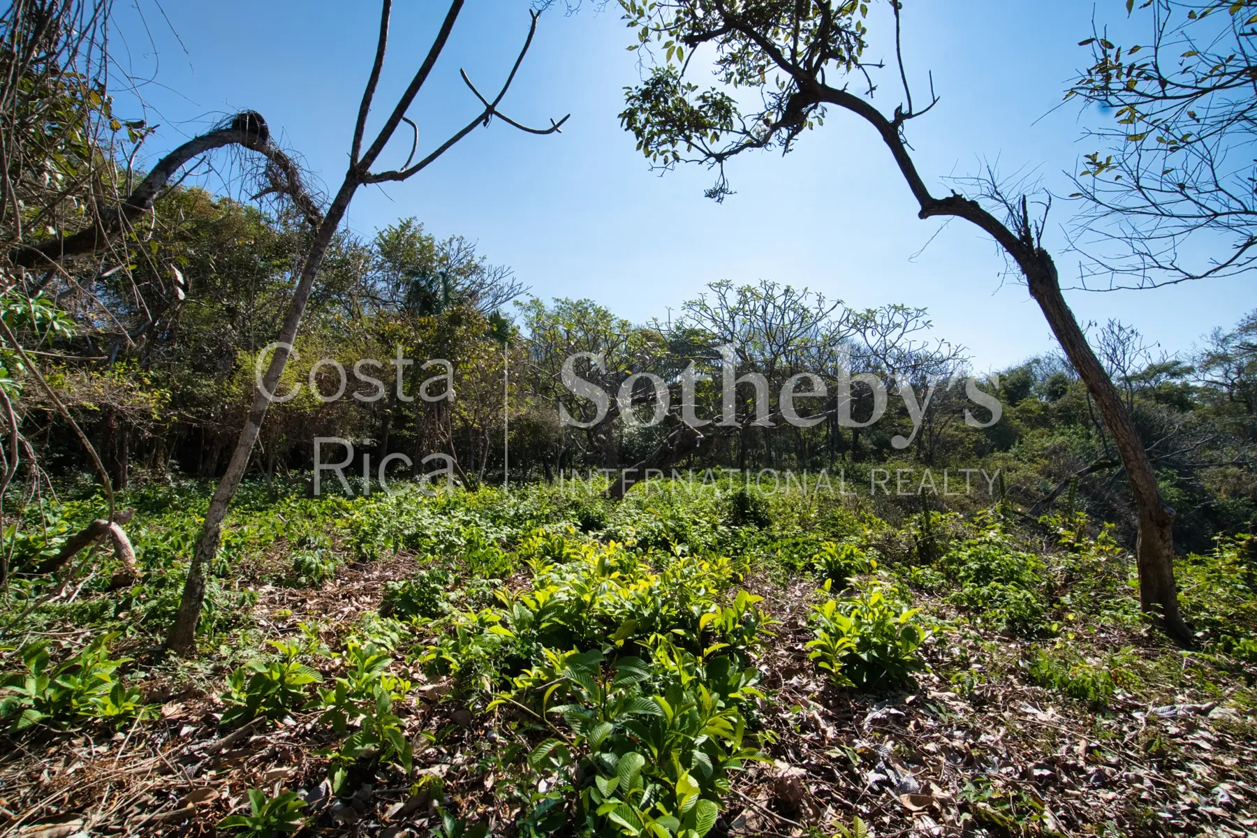 Gallery photo 5