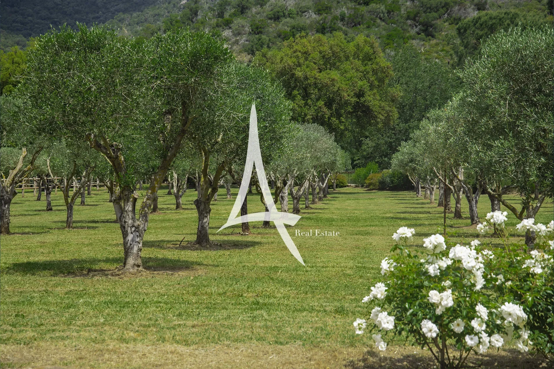 9 Bd Louis Blanc, 83990 Saint-Tropez, France, Saint-Tropez, Provence-Alpes-Côte d'Azur, France. - Photo 3