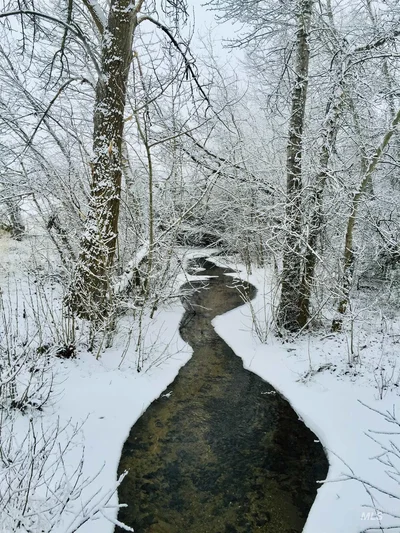 Thumbnail 21
