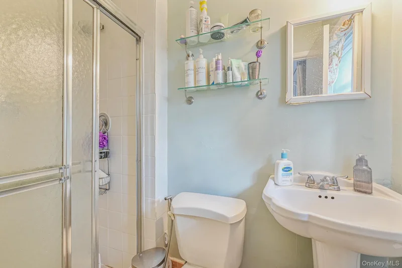 216 Birch Drive, New Hyde Park, NY 11040, New Hyde Park, New York, United States. - Photo 27