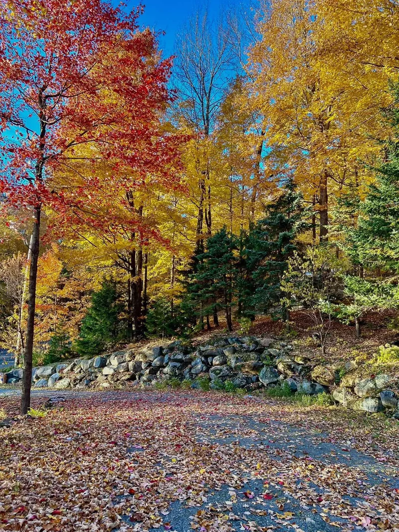 111 Ch. de la Sablière, Sutton, Quebec, Canada. - Photo 10