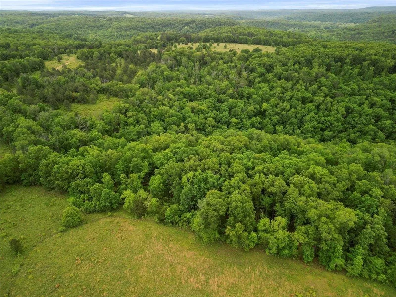 7064 County Road 14-223, Ava, MO 65608, Ava, Missouri, United States. - Photo 58
