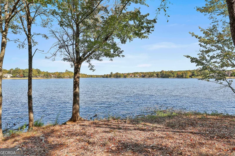 Newnan, Georgia, United States. - Photo 56