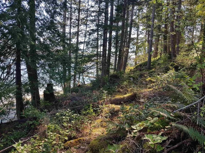 Sechelt Land