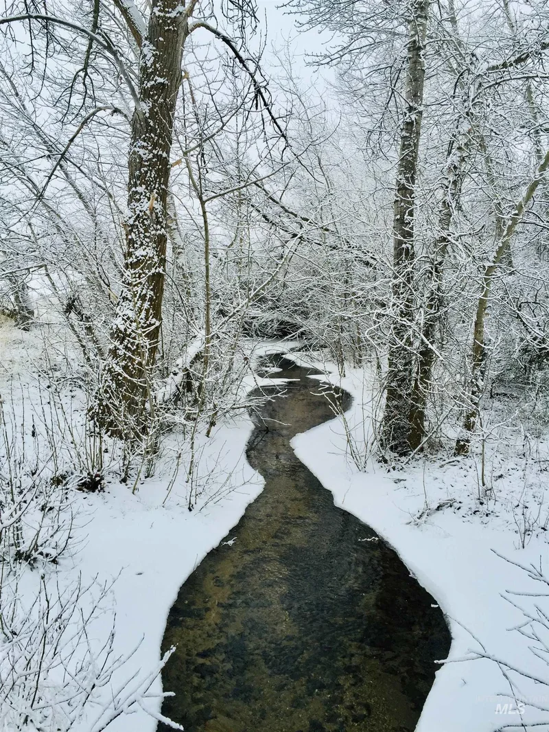 3811 W Miners Farm Ct., Boise, ID 83714, Boise, Idaho, United States. - Photo 21