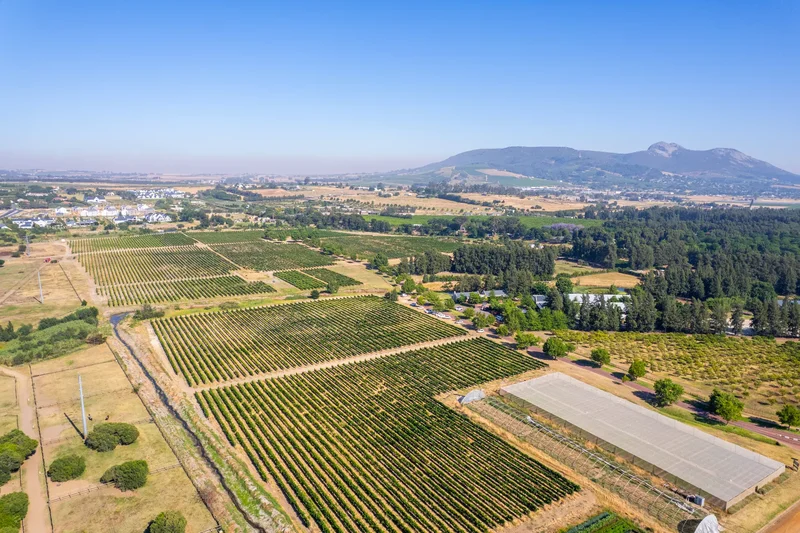Paarl, Western Cape, South Africa. - Photo 7