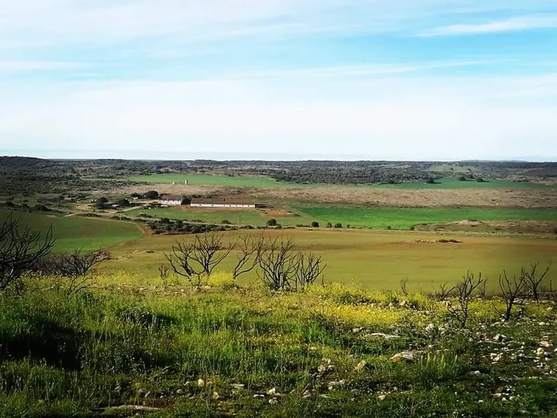 TWO FARMS – Endless Potential Schoongelee – 656,98 ha Soebattersvlakte – 331,84 ha